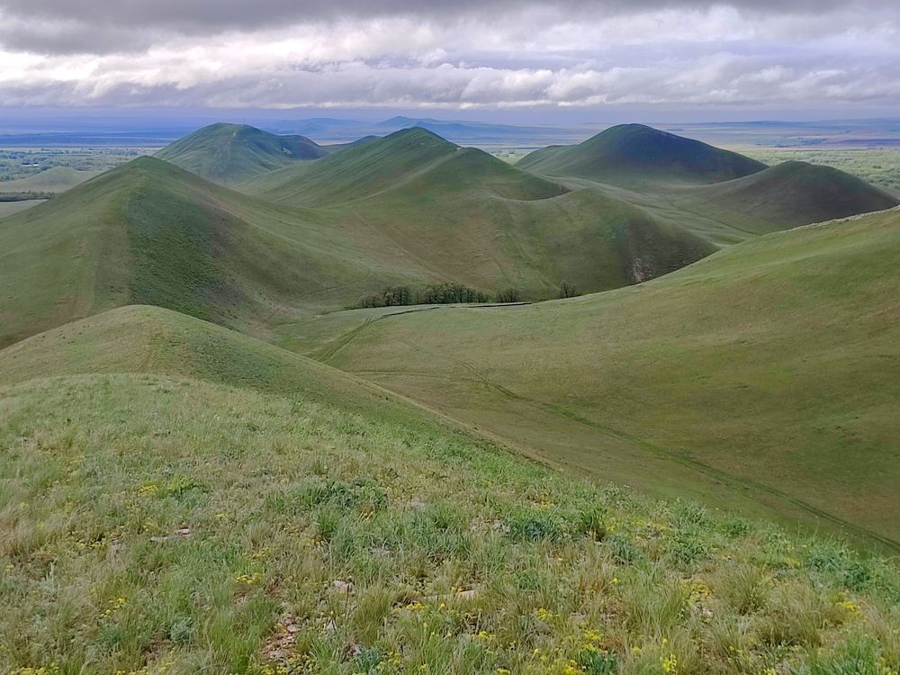 Photograph by Юлия Гинтер