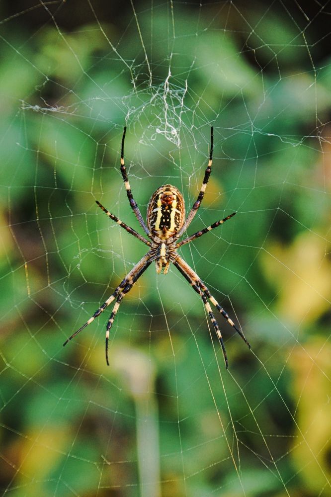 Фотография автора Павел Арсеев