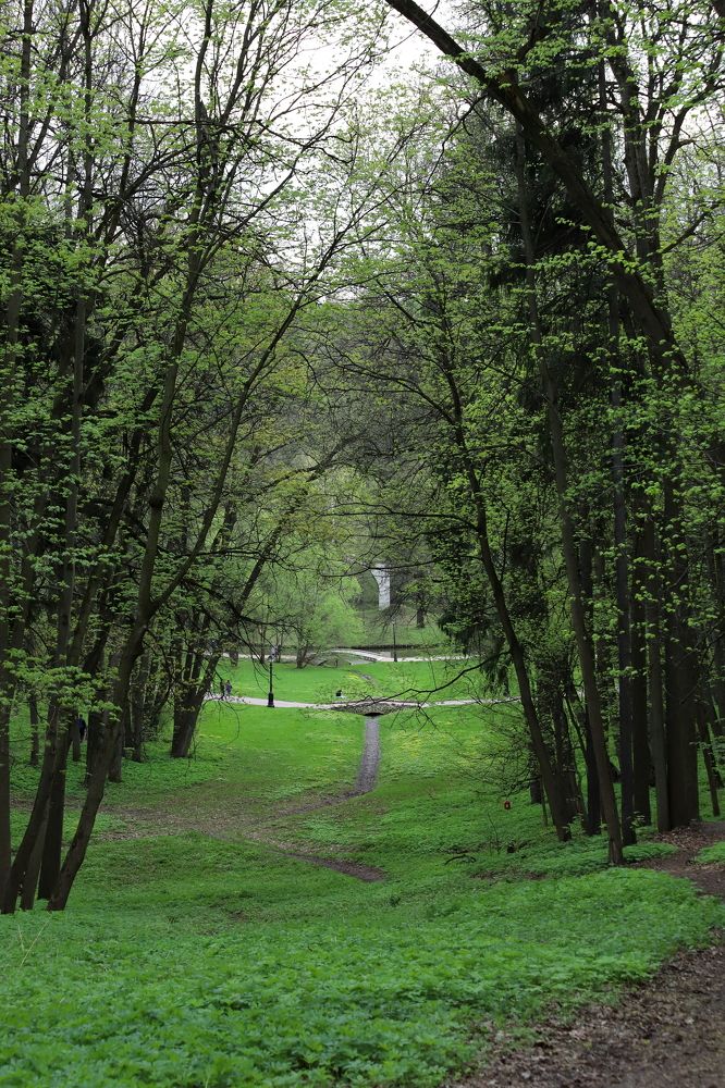 Photograph by DUBINA LEONID