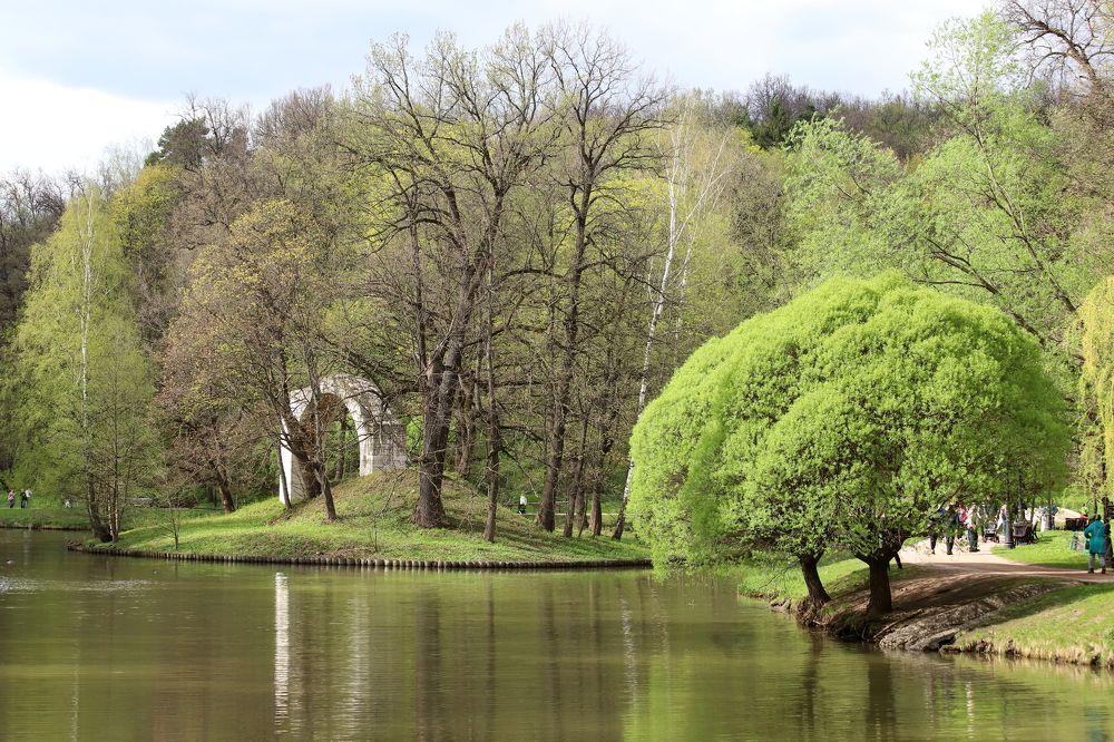 Photograph by DUBINA LEONID