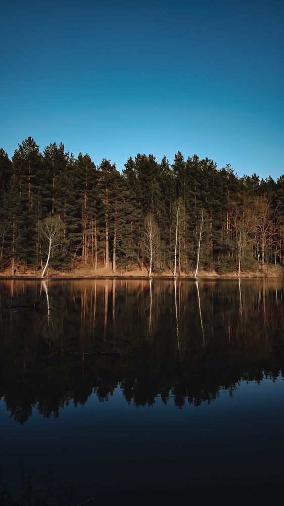 Photograph by Анна Лисина