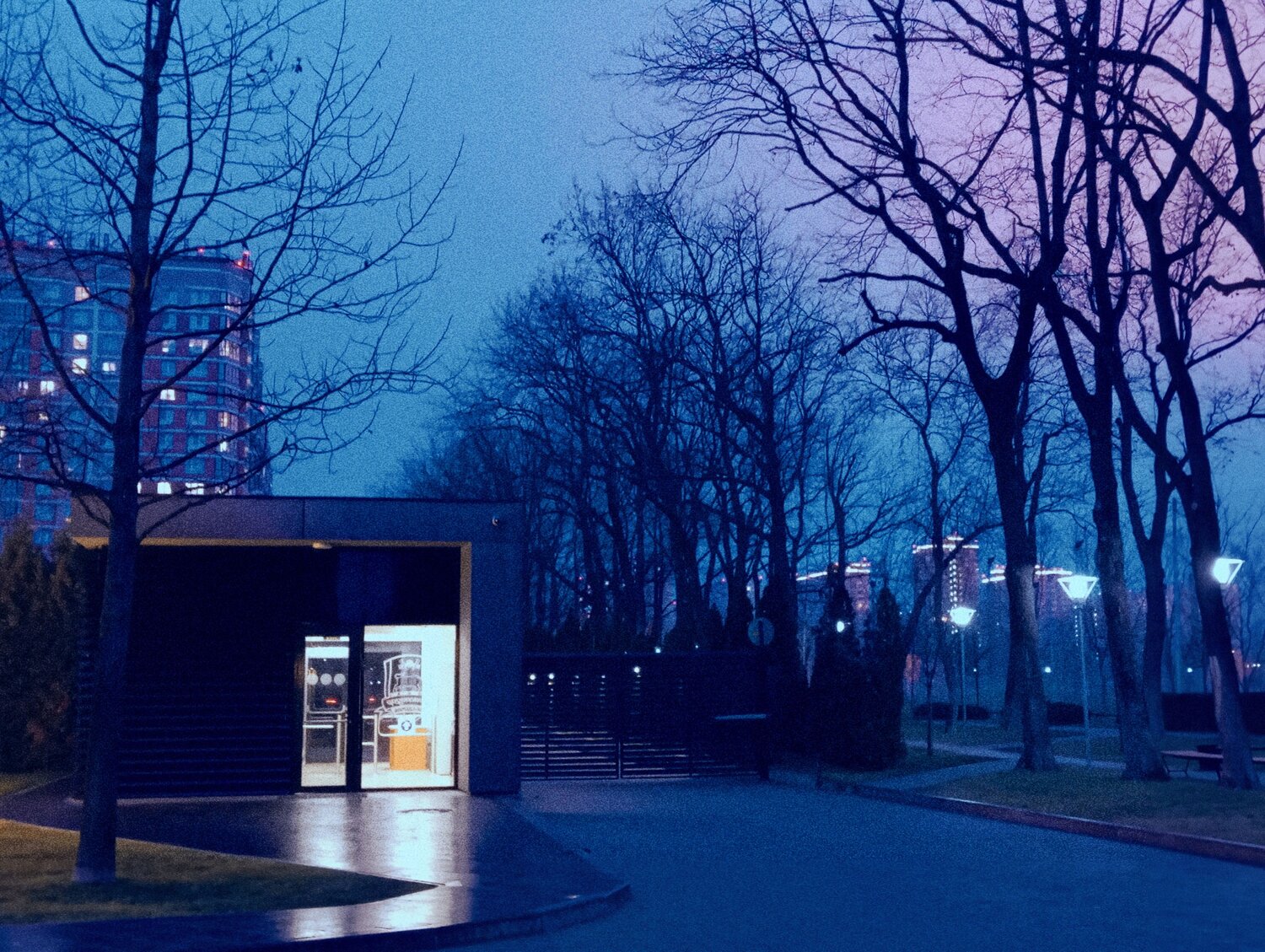 Photo #10570556