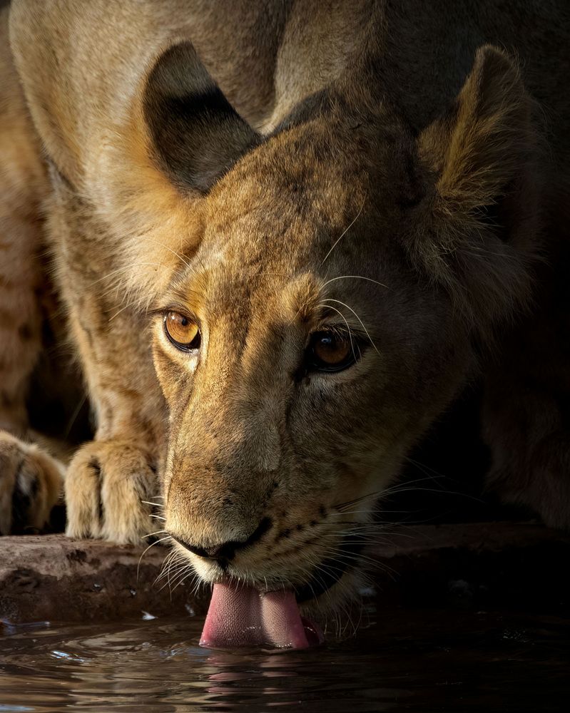 Photograph by Harsh Vyas