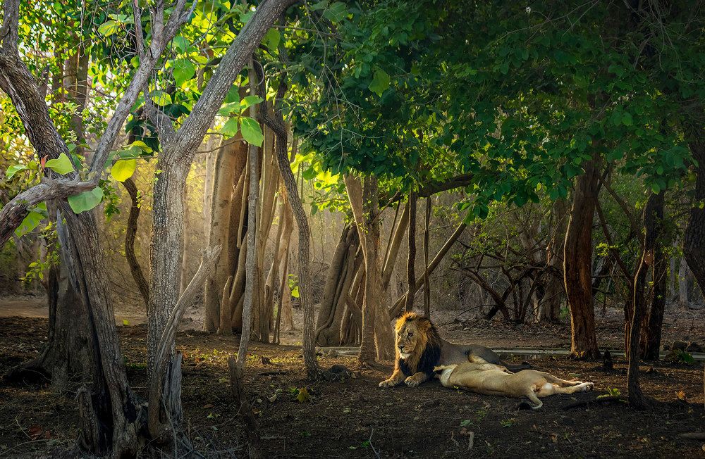 The king queen and their territory.