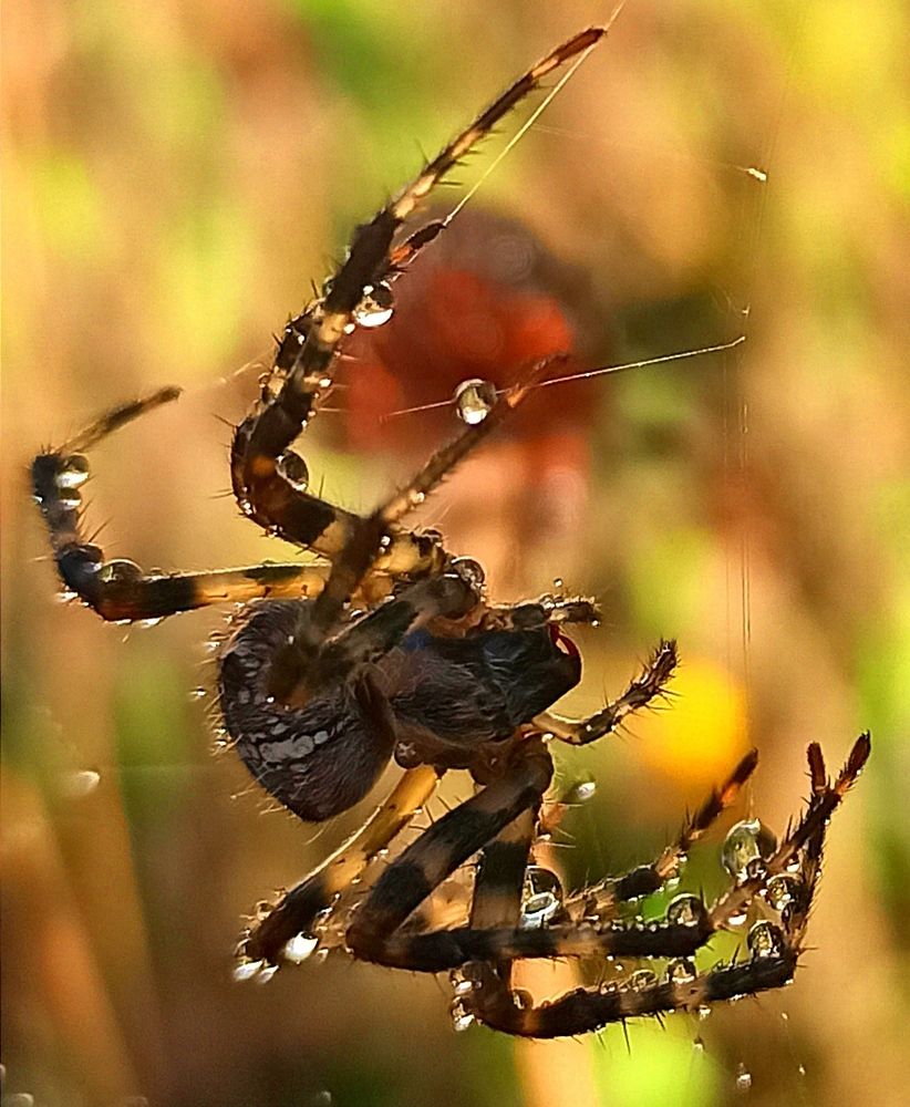 Photograph by Ольга Тихонова