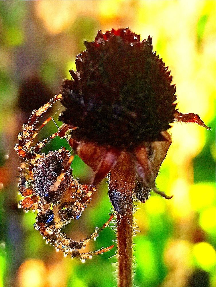 Photograph by Ольга Тихонова