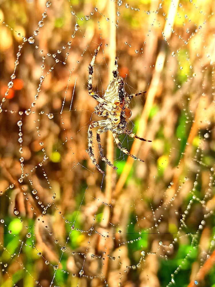 Photograph by Ольга Тихонова