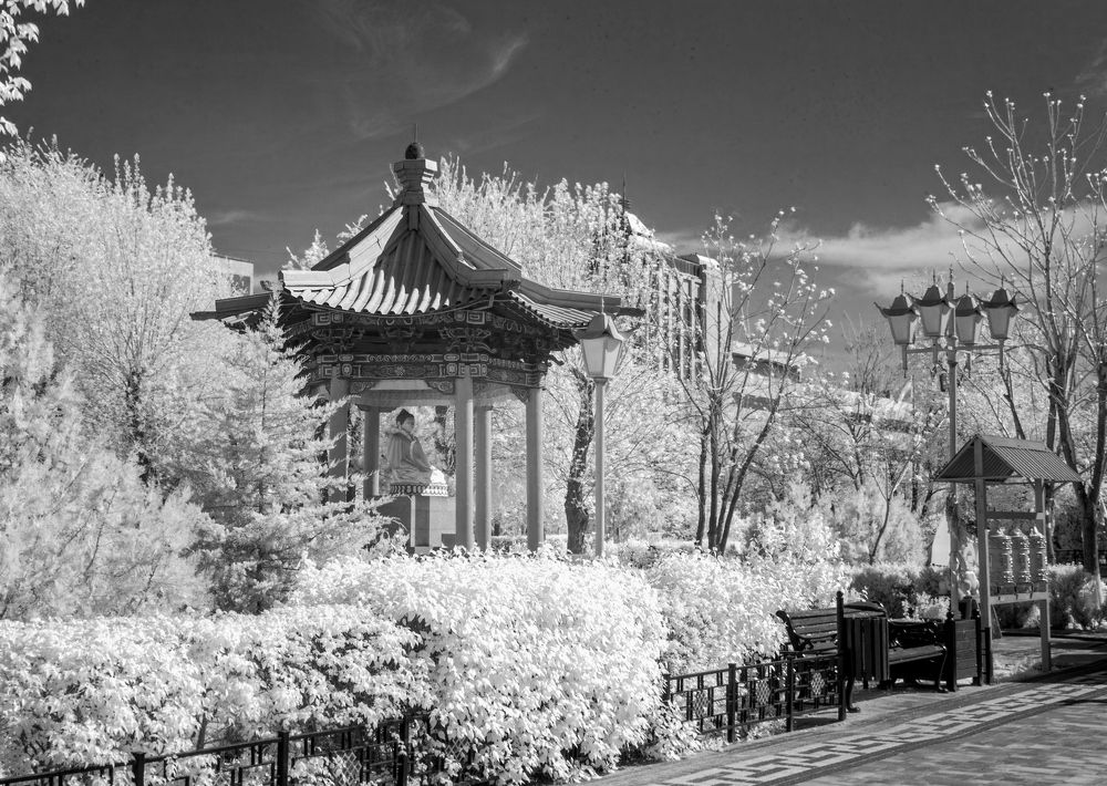 Photograph by Сергей Христинич