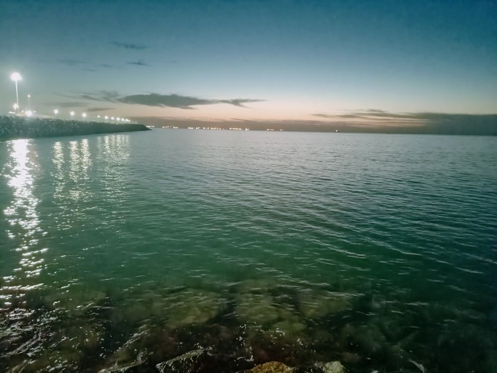 Photo #10570719