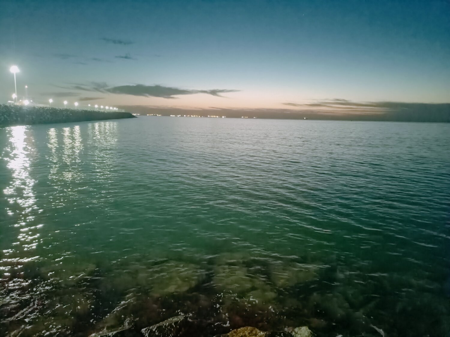 Photo #10570719
