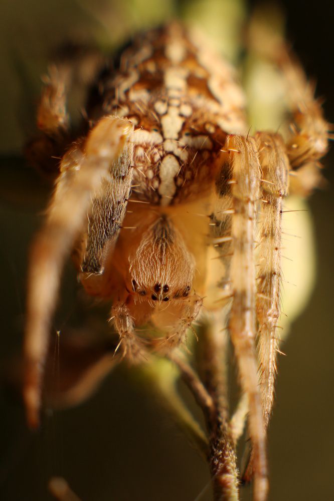 Photograph by Paweł Hajnrych