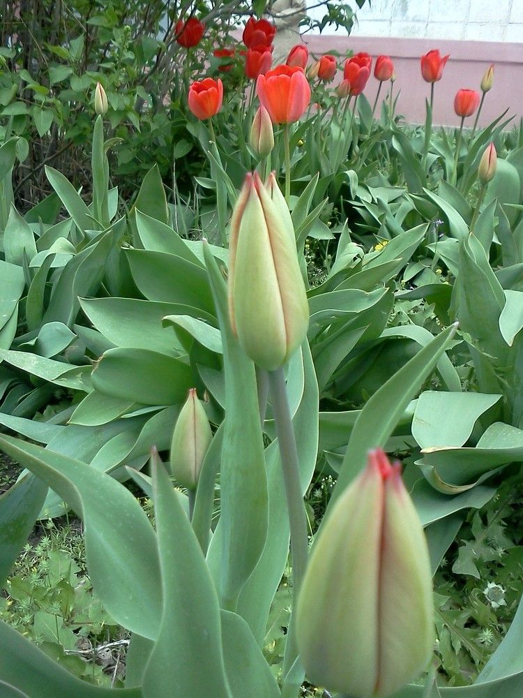 Photograph by карякина мария