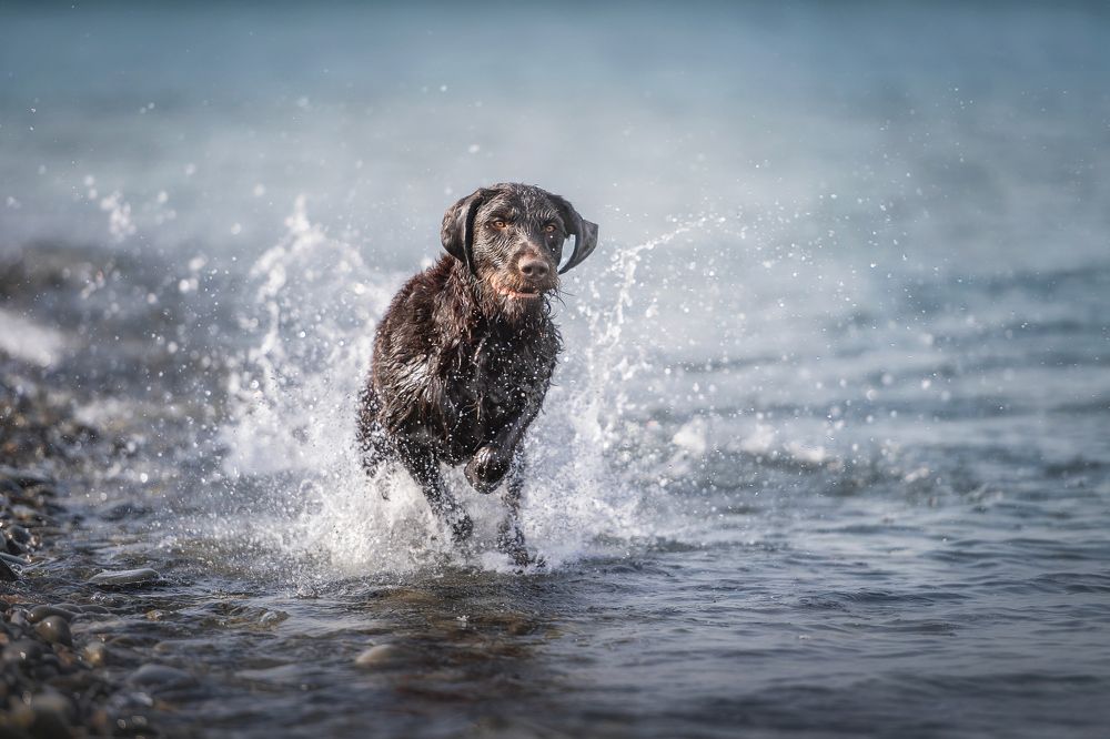 Photograph by Наталья Орел