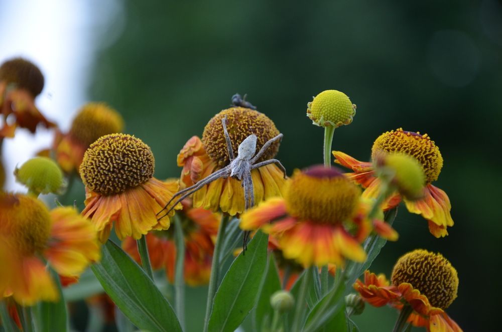 Photograph by Ольга Зиновьева