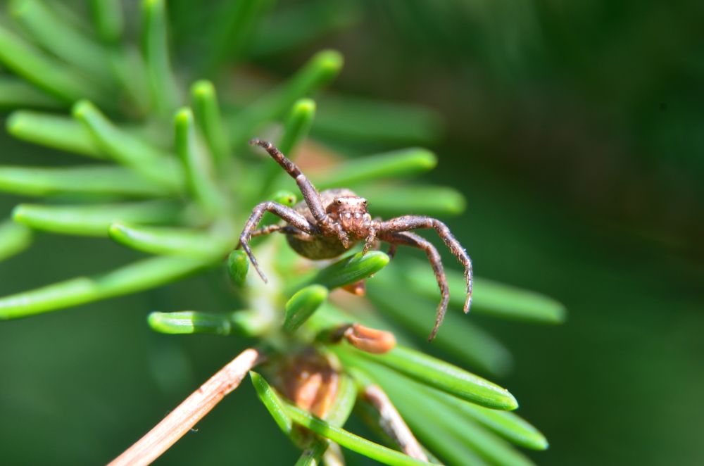 Photograph by Ольга Зиновьева