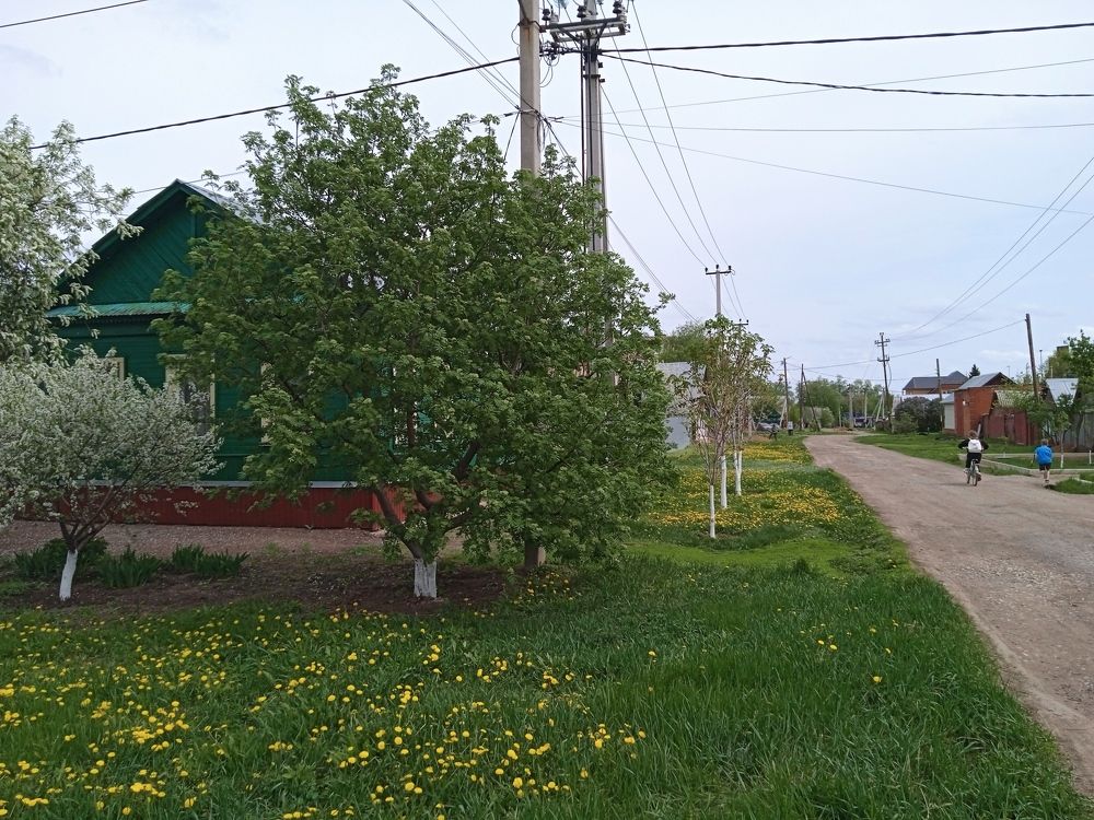 Photograph by Анатолий Омельяненко