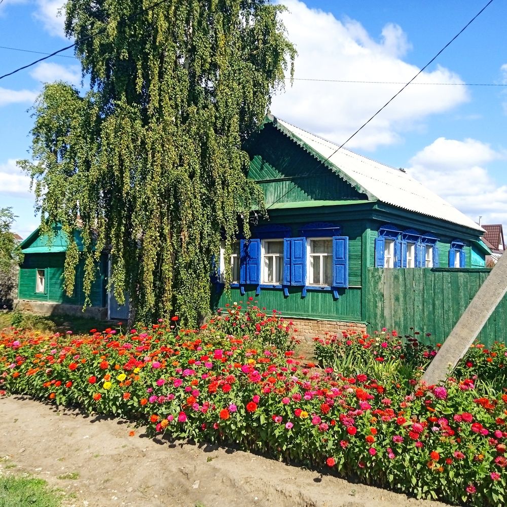 Photograph by Анатолий Омельяненко