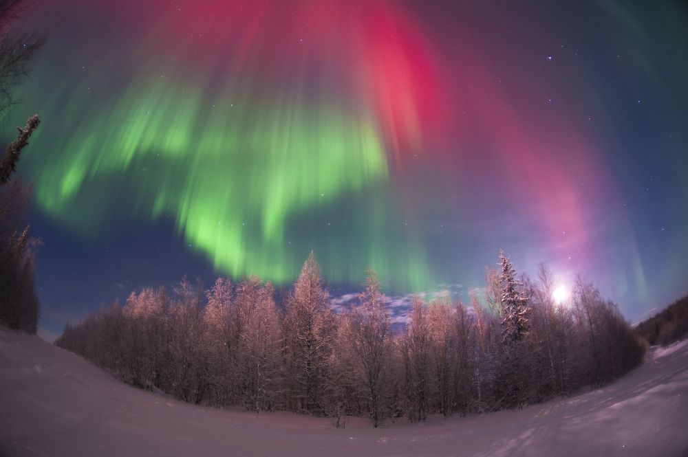 Photograph by Евгений Виличинский