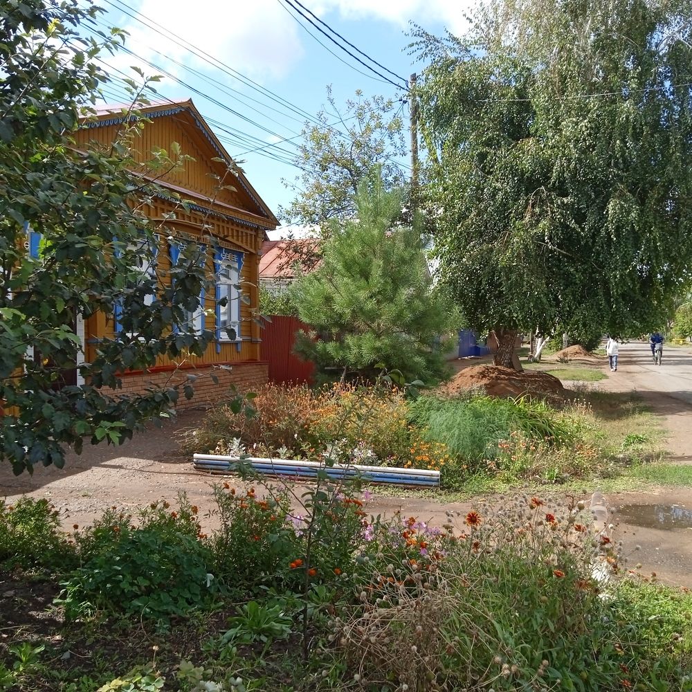 Photograph by Анатолий Омельяненко