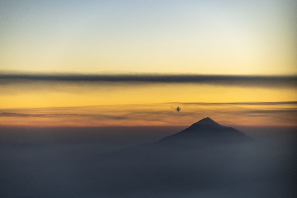 Photograph by Armando López-Guerrero