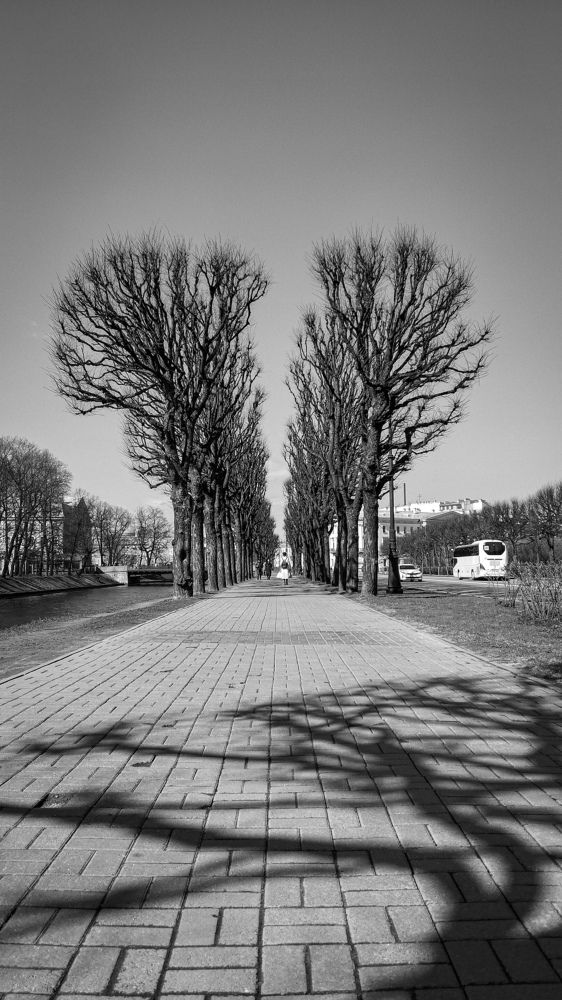 Photograph by Дмитрий Васильев