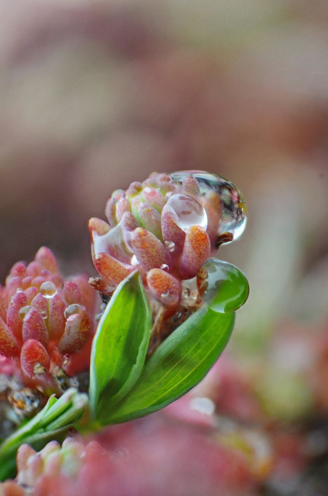 Photograph by Константин Мишнаевский