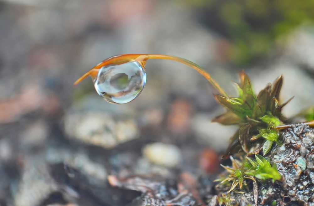 Photograph by Константин Мишнаевский