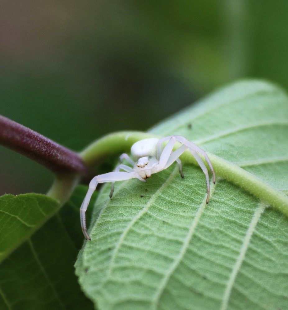 Photograph by Ирина Садовникова