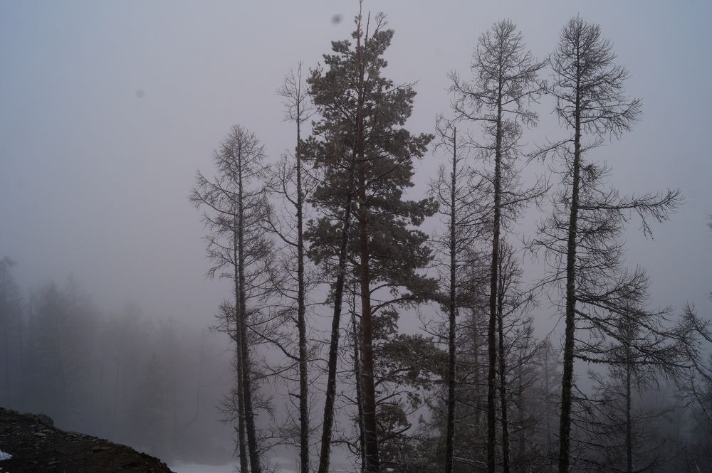 Photograph by Олеся Черкасская
