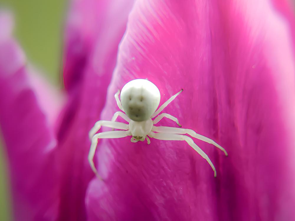 Photograph by Ekaterina Fadeeva