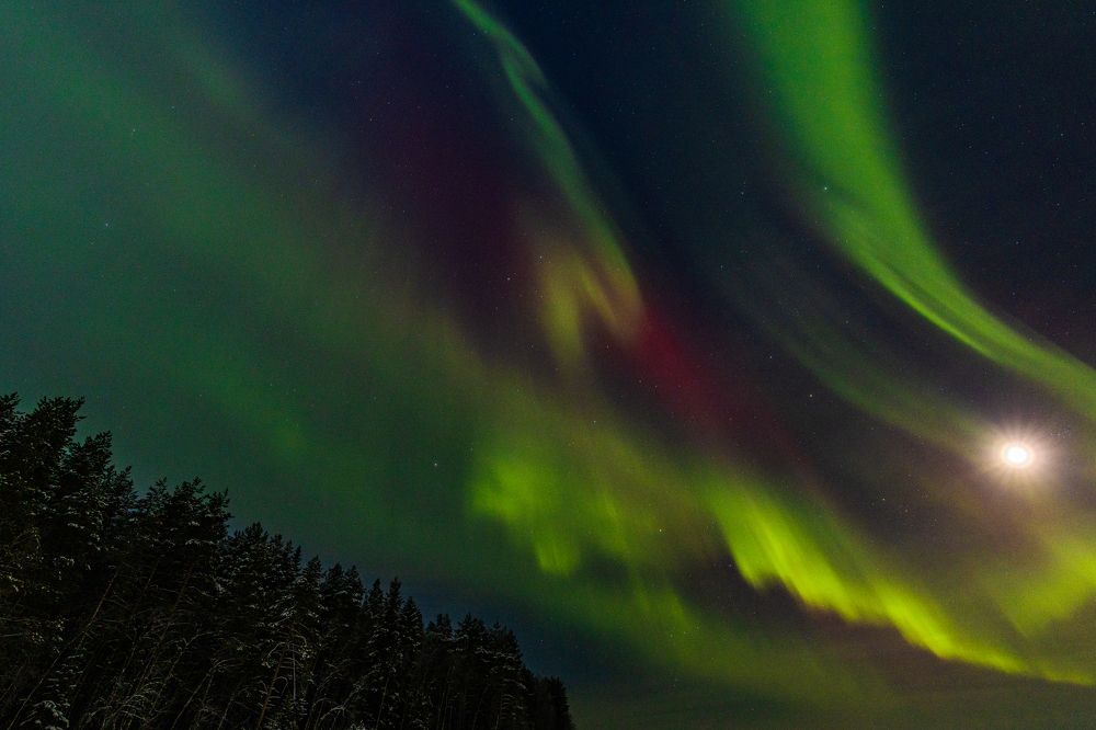 Photograph by Андрей Сериков