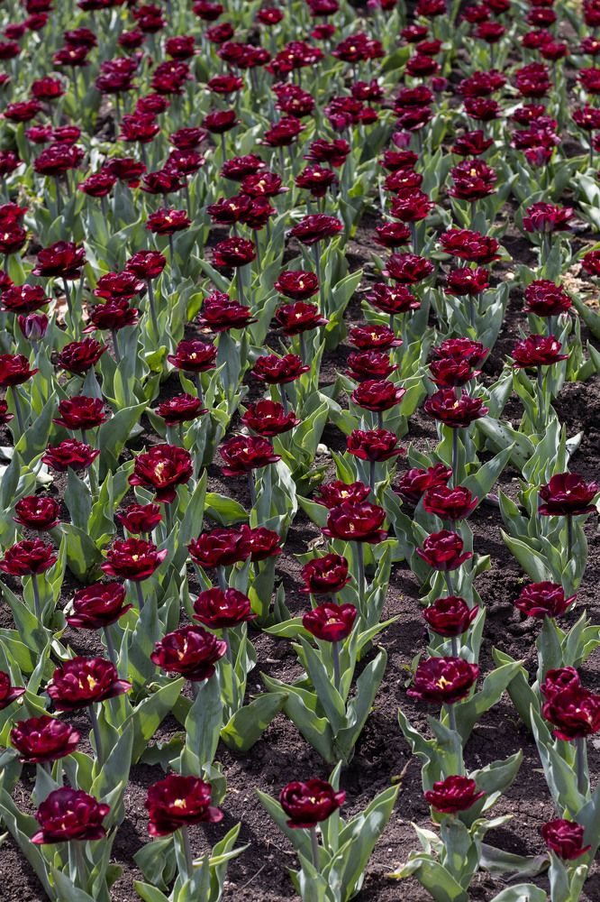 Photograph by Ксения Золотарь