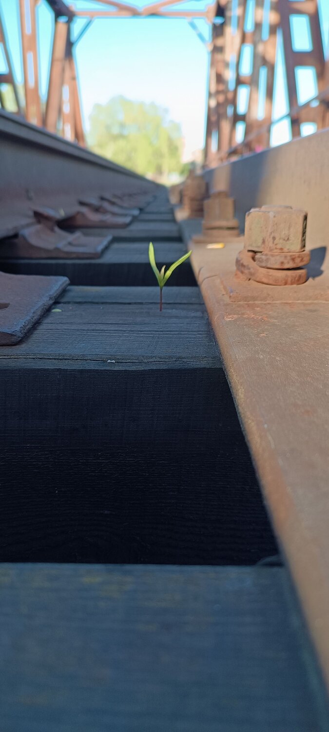 Photo #10571467