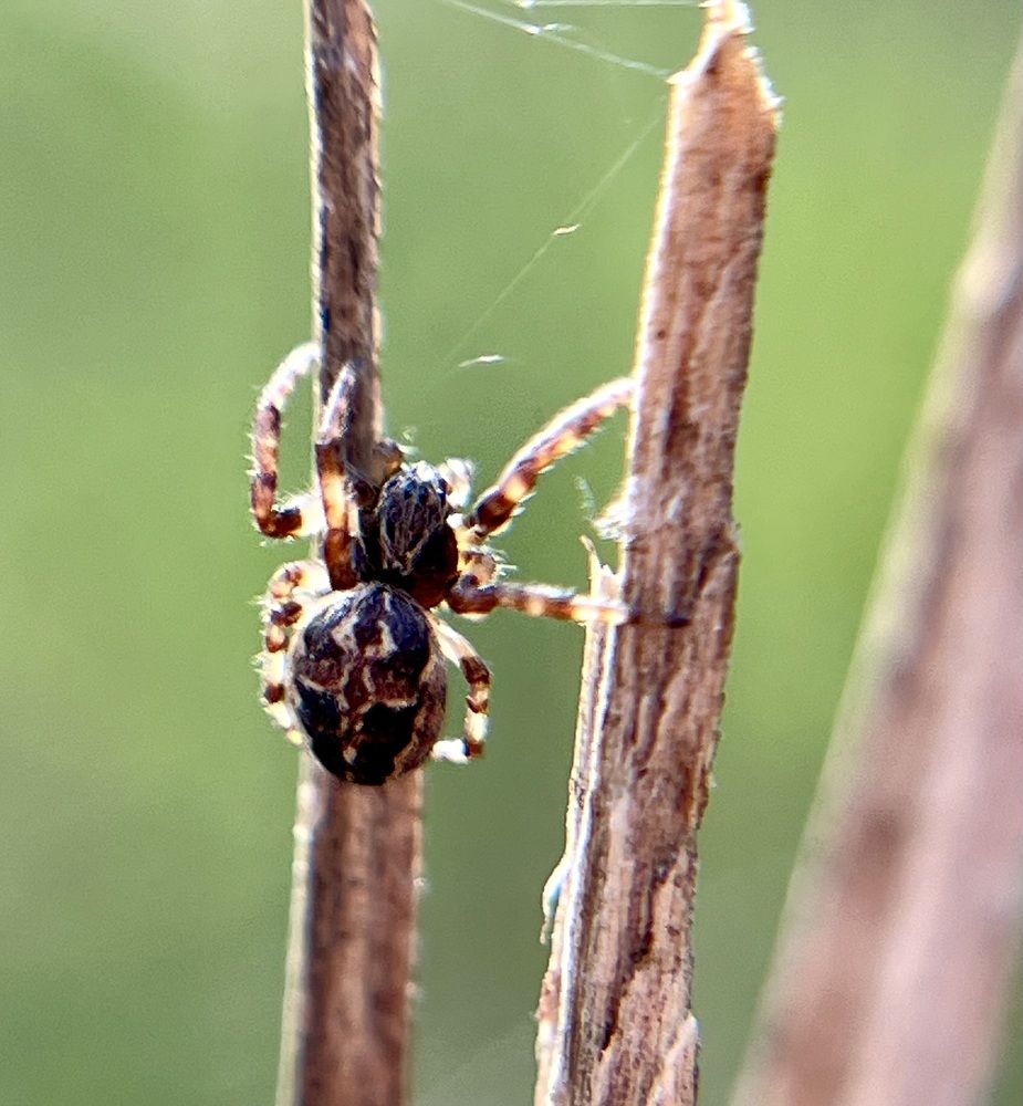 Photograph by Татьяна Михайловна