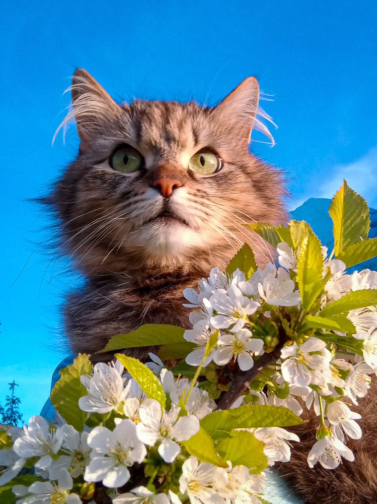 Photograph by Наталья