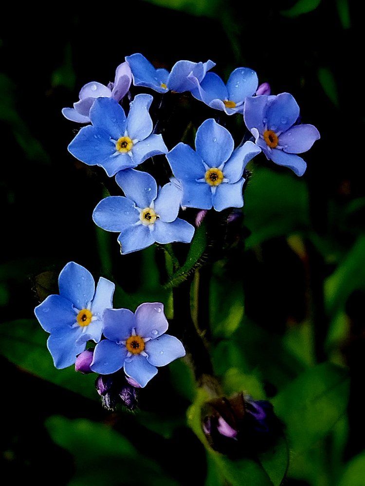 Photograph by Татьяна Солтан