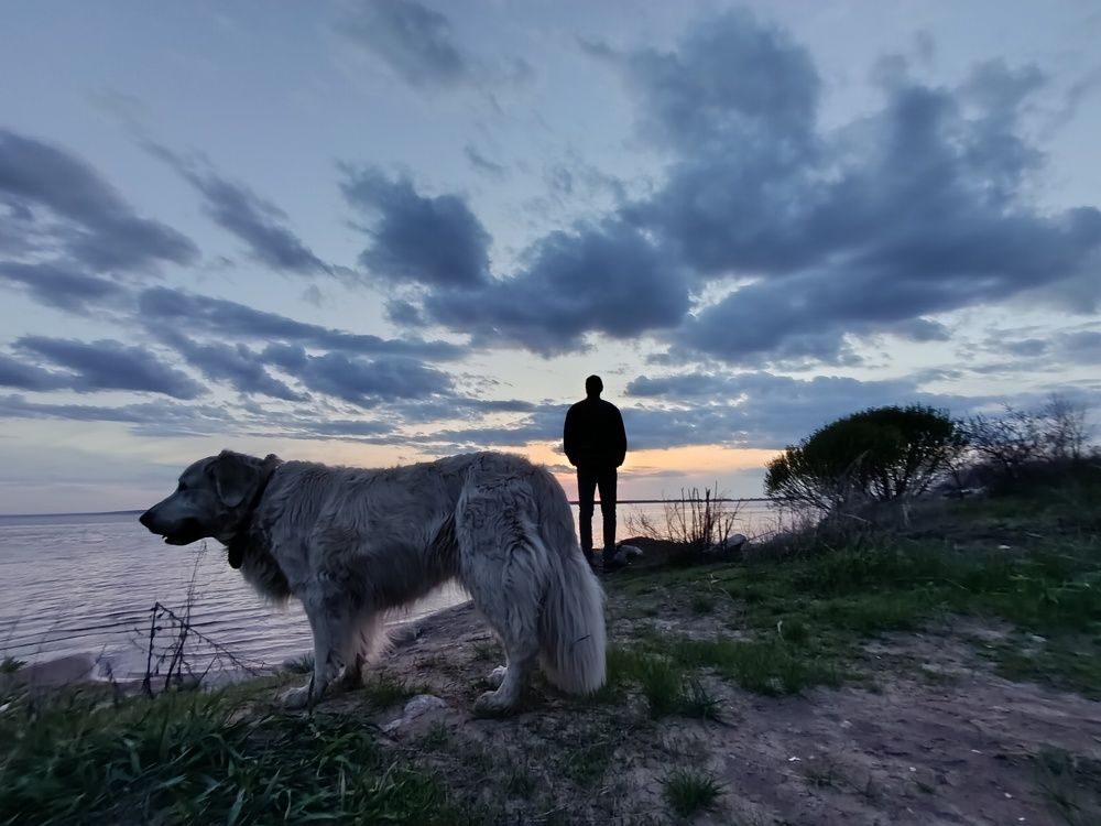 Photograph by Елена Глуховкина