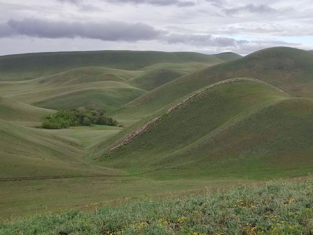 Photograph by Юлия Гинтер