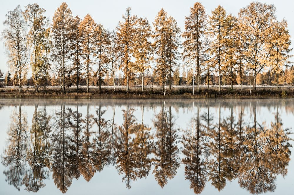 Photograph by Elena Noeva