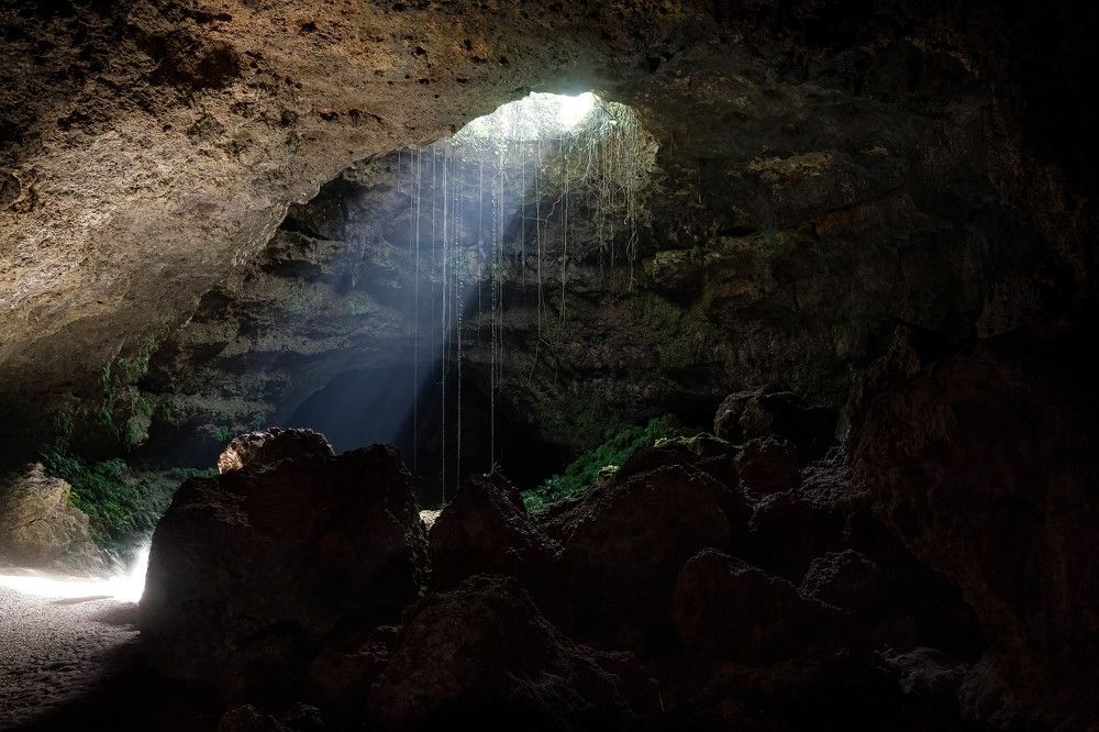 Photograph by Pro_nu