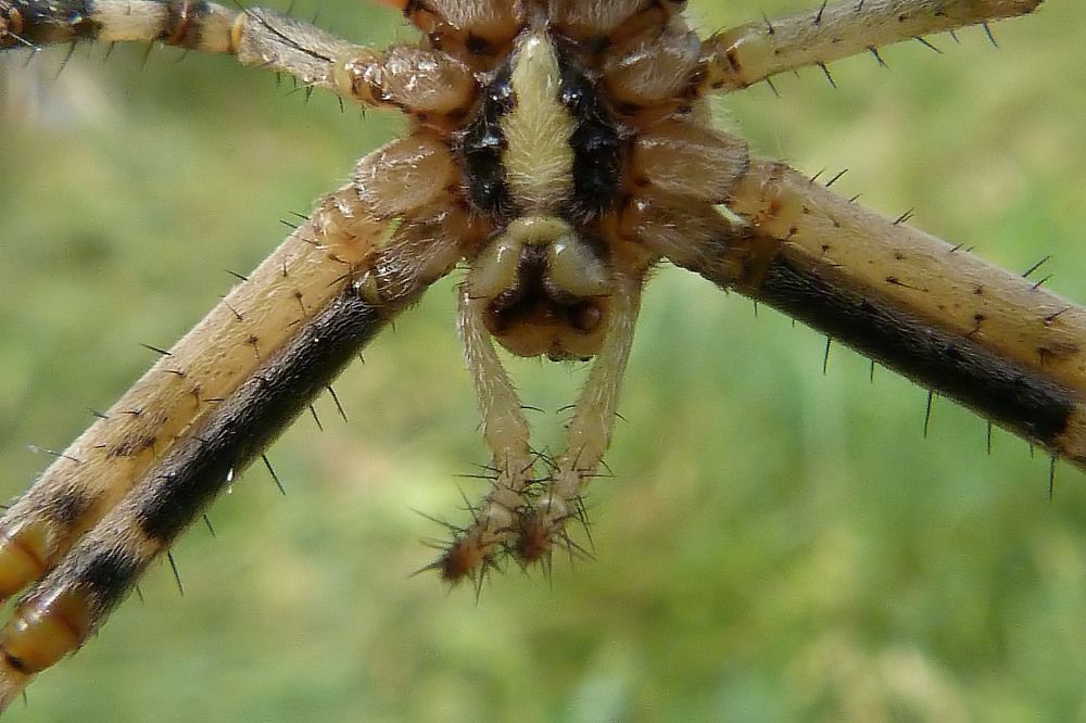 Photograph by Александр