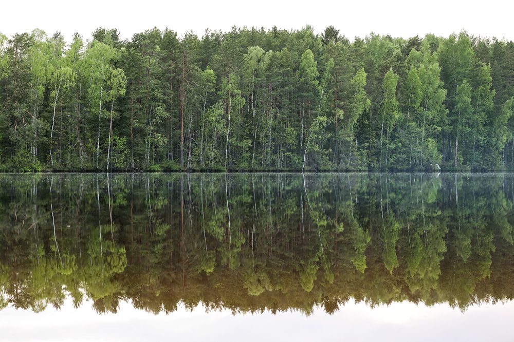 Photograph by Sergei Komlev