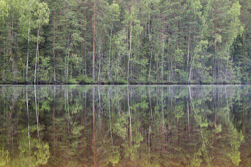 Photograph by Sergei Komlev