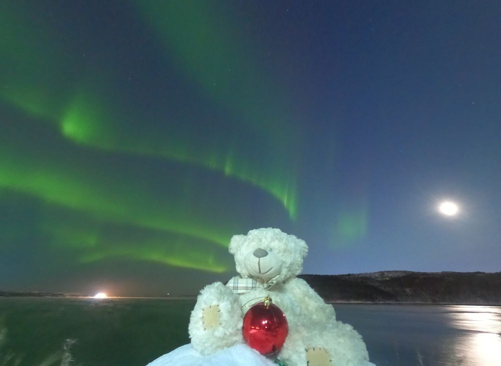 Новогодняя ночь