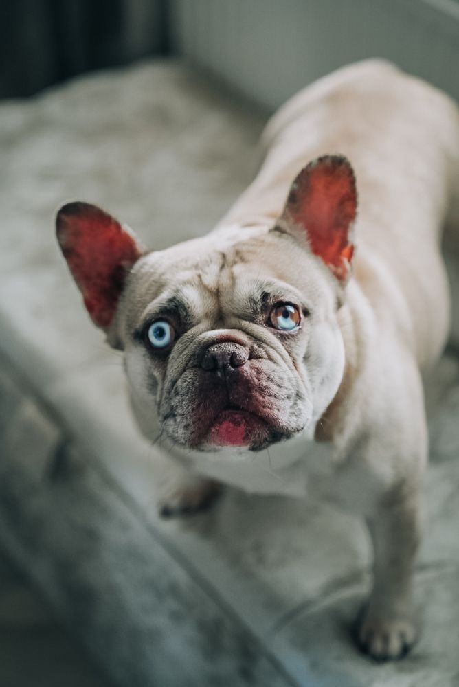 Фотография автора Yana Balatskaya