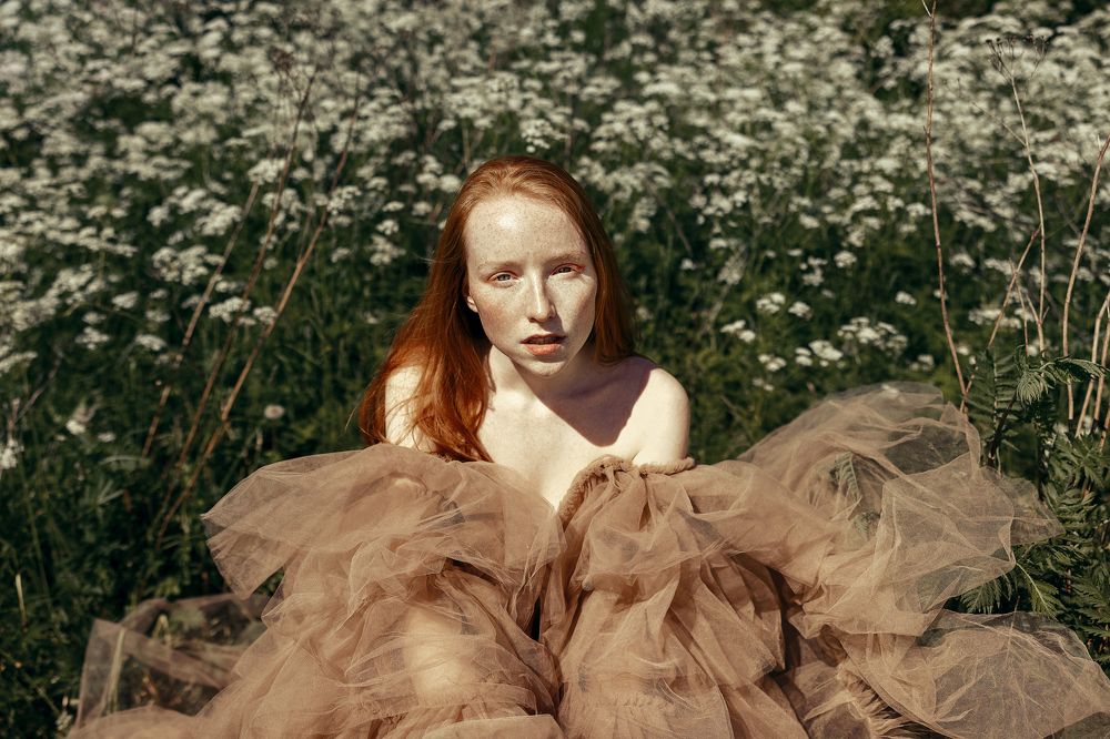 Photograph by Hossam Menna