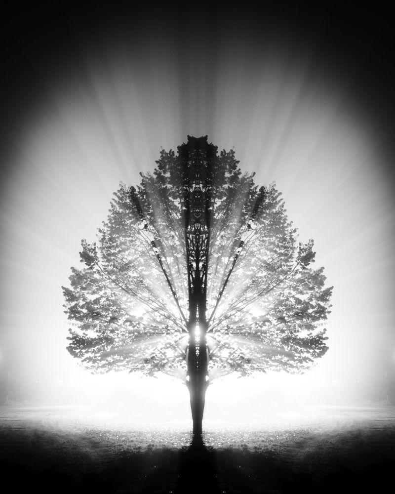 Фотография автора Minja Jovetic