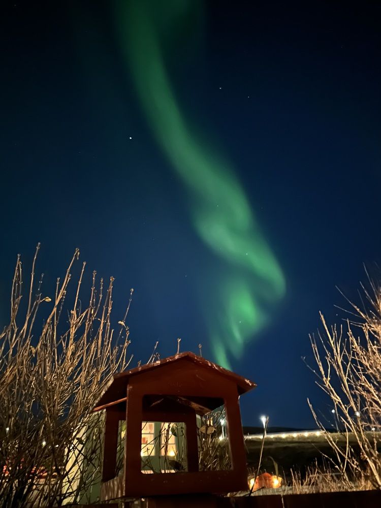 Photograph by Helga Guðjónsdóttir