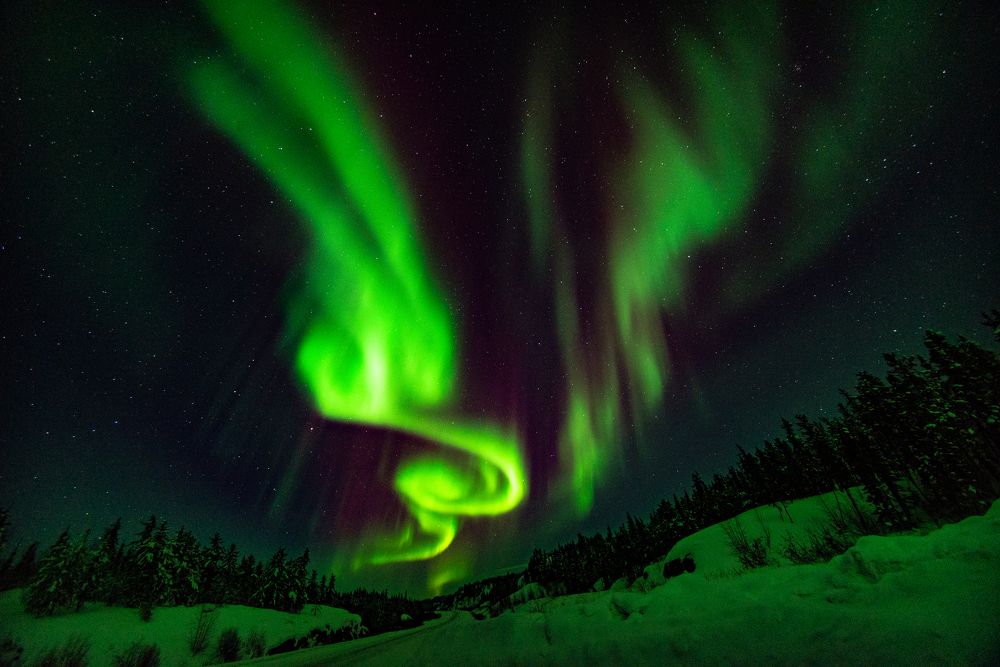 Lights in the middle of the road, pointing the route