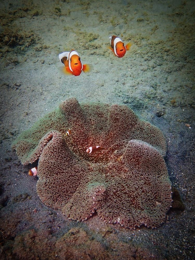 Photograph by Анна